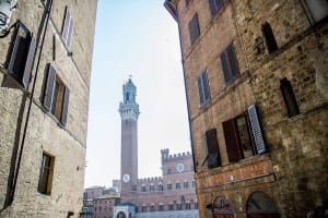 Private Tuscany Tour: Pisa, Siena, San Gimignano & Winery Lunch 4