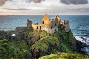 Belfast City Walking Tour & Giant's Causeway Day Tour from Dublin 4