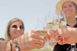 Ronda Wine & Olive Oil Tasting Tour 3