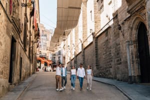 Toledo Private Tour with Cathedral & High-Speed Train from Madrid 3