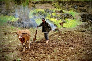 Ha Giang Jeep Tour: 2-Day Off-The-Beaten-Path Adventure 4