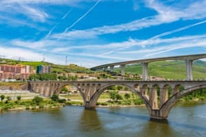 Douro Valley River Cruise with Meals and Tasting 4