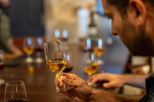 Porto Full-Day City Tour with Wine Tasting and Six Bridges Cruise 4