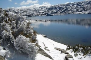 Serra da Estrela Full-Day Private Tour 4
