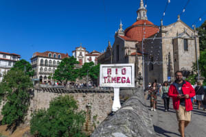Douro Valley Wine Tour with Lunch & Cruise 4