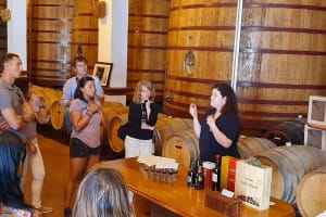 Douro Valley Wine Tour with Lunch, Tastings, and River Cruise 4