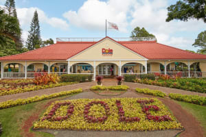 North Shore Haleiwa & Dole Plantation Tour 4