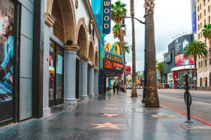 LA Icons Full-Day Tour: Walk of Fame, Rodeo Drive, Getty Center 4