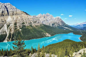 Columbia Icefield, Peyto Lake & Bow Lake Day Trip 4