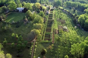 Monticello Day Tour from Washington DC 4