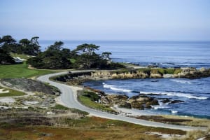 17-Mile Drive & Pebble Beach Tour 3
