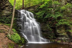 2-Day Stargazing & Nature Tour from NYC 4