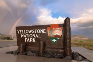 13-Day USA Cross-Country Tour: LA to NYC via Yellowstone 4