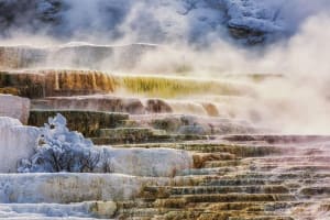 Yellowstone & Mount Rushmore 4-Day Tour 3