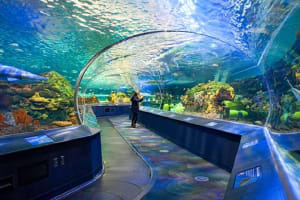 4-Day Toronto to Quebec Small Group Tour 4