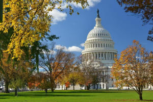 Washington D.C. Cherry Blossom & Baltimore 3-Day Tour from Boston 3