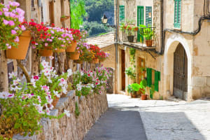 Valdemossa and Port of Soller Half-Day Tour with Coca de Patata 4