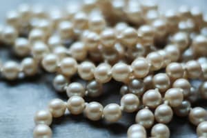 Mallorca Hams Caves & Pearl Shop Tour 4