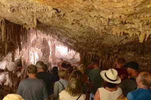 Mallorca Drach Caves & Porto Cristo Tour 3