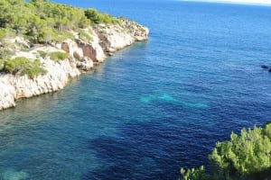 Authentic Mallorca with Lunch 4