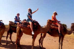 Marrakech Desert Sunset Camel Ride & Dinner 3