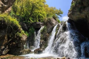 Atlas Mountains Camel Ride & Waterfalls Tour 3