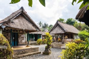 All-Inclusive Ubud Private Tour 4
