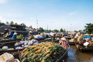 Mekong Delta Floating Market Tour 3