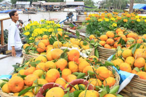 Mekong Delta Floating Market Tour 4