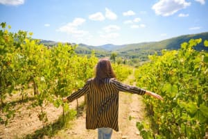 San Gimignano Half-Day Trip with Picnic and Wine 3