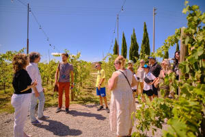 Siena, San Gimignano & Chianti Wine Tour 3