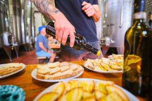 Chianti Vineyards Escape with Wine Tastings 4