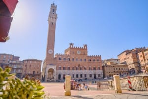 Tuscany Highlights Guided Tour from Florence 4