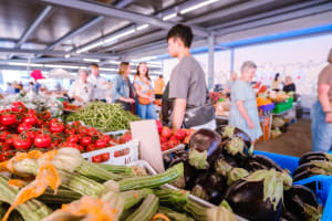Private Sant'Ambrogio Market Food Tour with a Local Chef 3