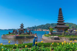 Private Bali Tour: Best of Bedugul and Tanah Lot Temple 4