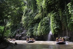 Ayung River Rafting & Ubud Tour 4