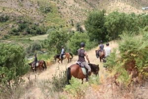 Kemer Horse Safari Adventure 4