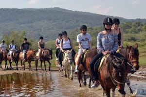 Alanya Horseback Riding Adventure 3