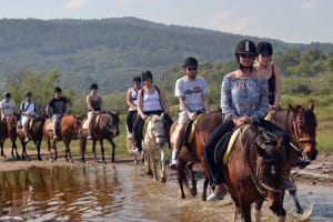 Marmaris Half-Day Horseback Riding Adventure 4