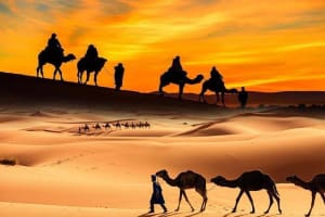 Dubai Red Dune Safari Adventure 4