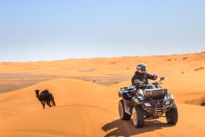 Dubai Desert Adventure: BBQ, Camel Ride & Live Shows 3