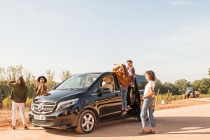 High-End Vineyard Escape: Cava, Tapas & Wine | Private Tour 3