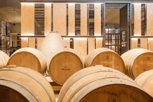 High-End Vineyard Escape: Cava, Tapas & Wine | Private Tour 4