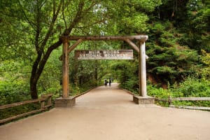 Muir Woods and Sausalito Tour with Bay Cruise 4