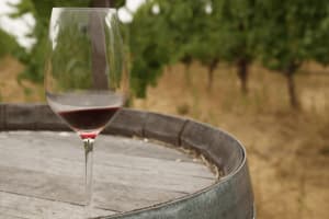 Private Napa and Sonoma Wine Tour 3