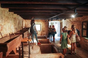 Krka Waterfalls & Wine Tasting Tour 4