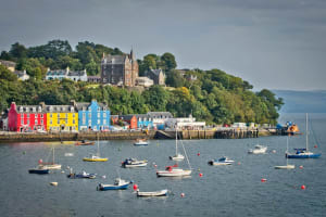 4-Day Mull, Iona & Staffa Puffin Adventure 3