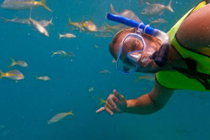 Snorkel with Turtles & Puerto Rican Cuisine 4