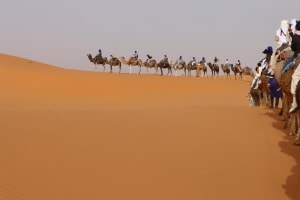 6-Day Morocco Desert Adventure 3
