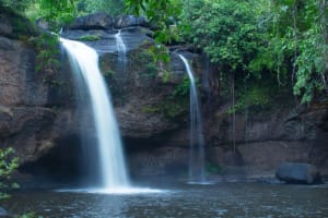 Khao Yai National Park Full-Day Tour from Bangkok 4